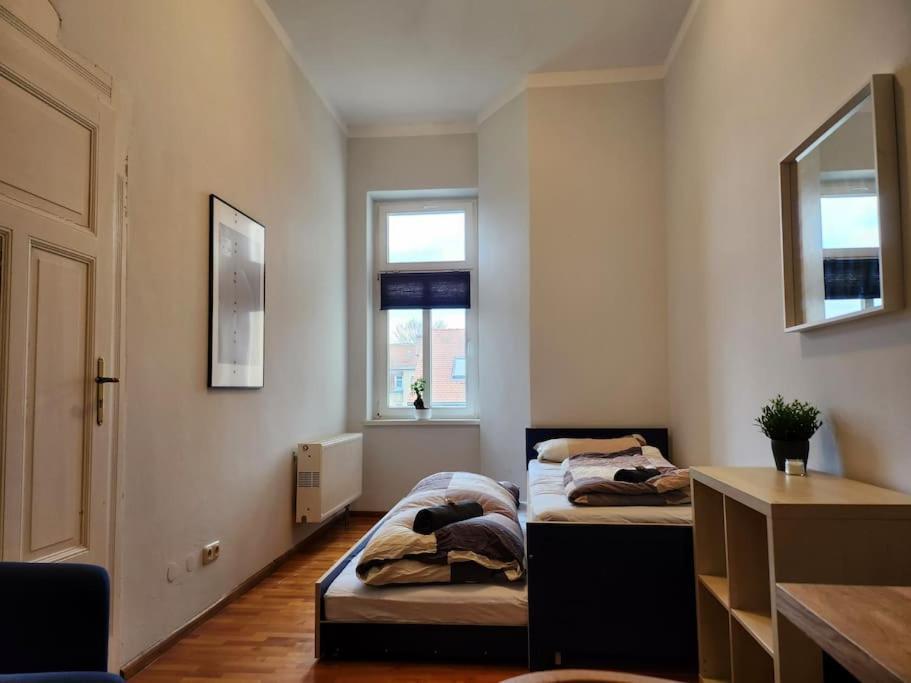 4 Raum Wohnung Mit Balkon Auf 120Sqm In Top Lage Dresden Exterior foto